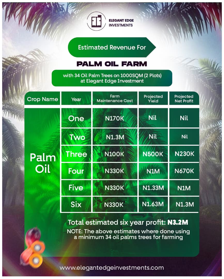 WhatsApp Image 2026-02-24 at 4.32.07 PM